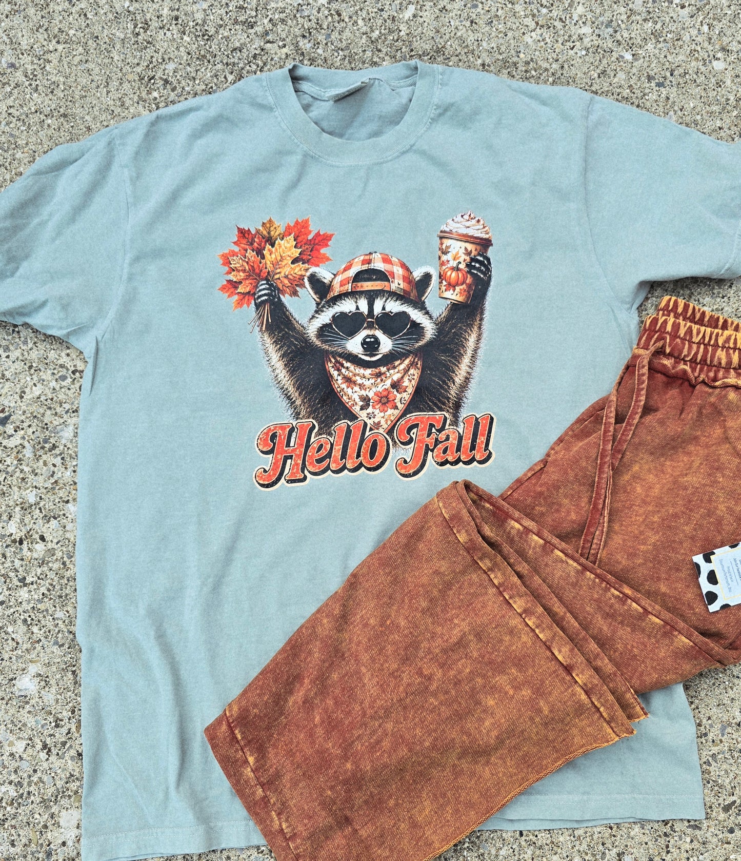 Hello Fall Racoon Tee